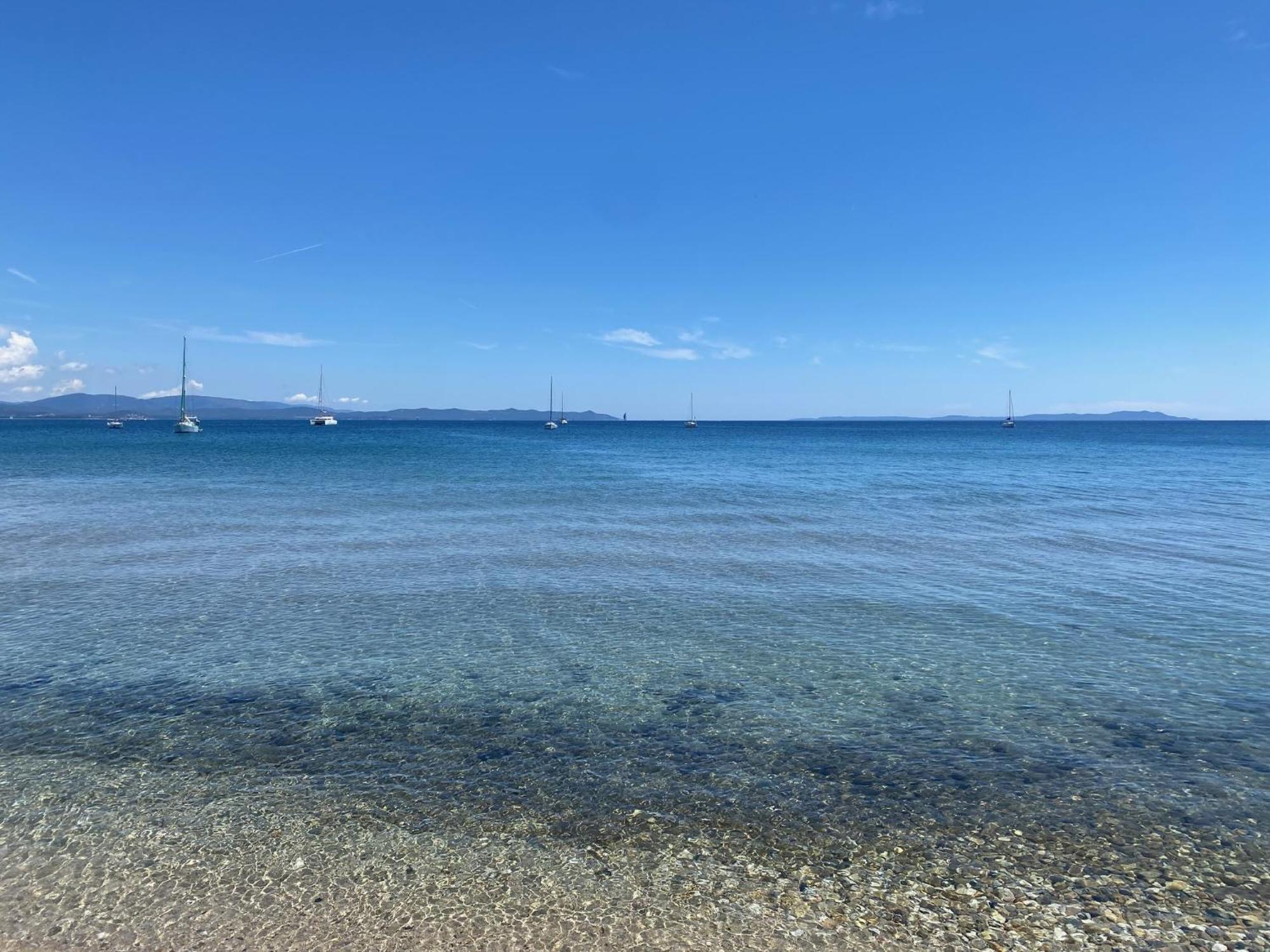 Appartement Les Cigales Rez De Jardin A 10Mn Des Plus Belles Plages Hyeres Bagian luar foto